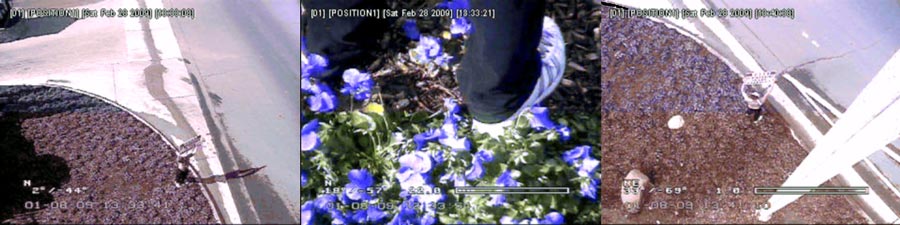 scientology_gold_base_security_camera_output_lowres.jpg