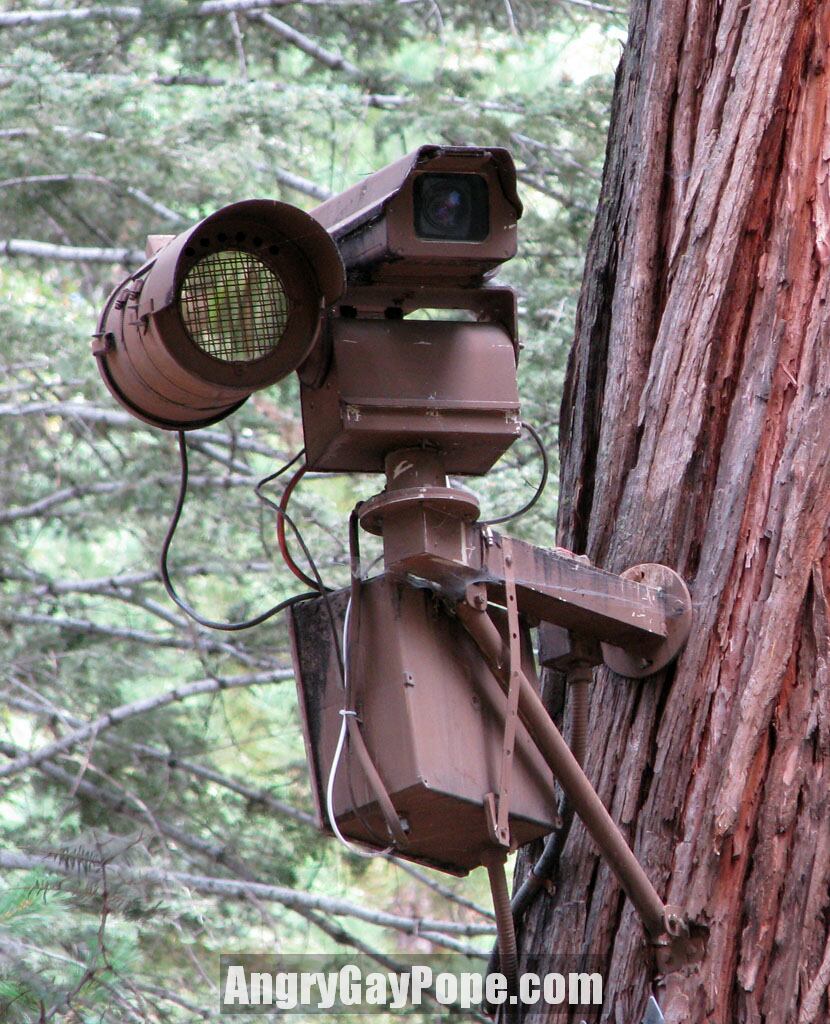 security_camera_front.jpg