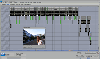 video editing decision list angry gay pope